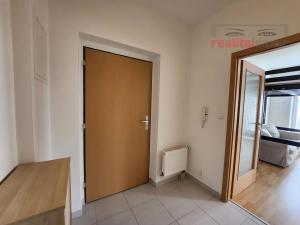 Pronájem bytu 1+kk, Brno, U Leskavy, 33 m2