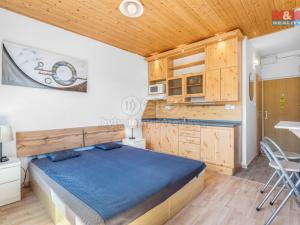 Prodej bytu 1+kk, Jiřetín pod Bukovou, 21 m2