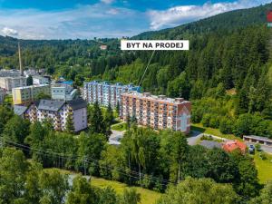 Prodej bytu 1+kk, Jiřetín pod Bukovou, 21 m2