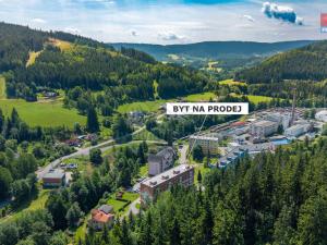 Prodej bytu 1+kk, Jiřetín pod Bukovou, 21 m2