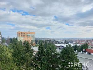 Pronájem bytu 1+kk, Brno, Halasovo náměstí, 23 m2