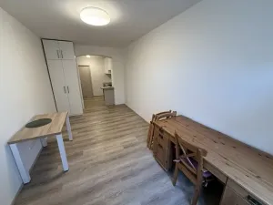 Pronájem bytu 1+kk, Brno, Palackého třída, 27 m2