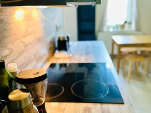 Pronájem bytu 1+1, Praha - Žižkov, Fibichova, 35 m2