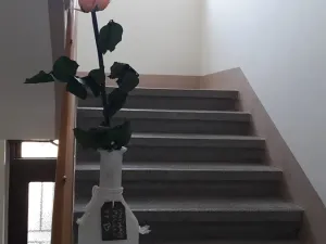 Pronájem bytu 2+1, Praha - Dejvice, Na Hanspaulce, 79 m2
