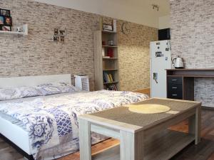 Pronájem bytu 1+kk, Pardubice - Pardubičky, Pod Kopečkem, 41 m2