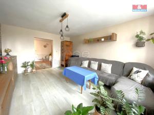 Prodej rodinného domu, Velká Losenice, 100 m2