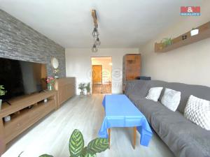 Prodej rodinného domu, Velká Losenice, 100 m2