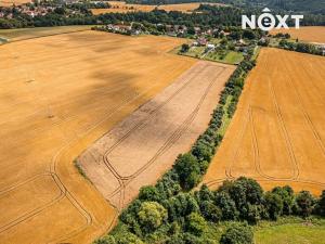 Prodej pozemku pro bydlení, Čestín, 16918 m2