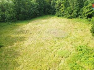Prodej zahrady, Červený Kostelec - Olešnice, 8220 m2