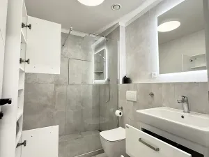 Pronájem bytu 2+kk, Plzeň, Truhlářská, 64 m2