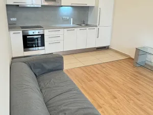 Pronájem bytu 2+kk, Brno, Úvoz, 57 m2