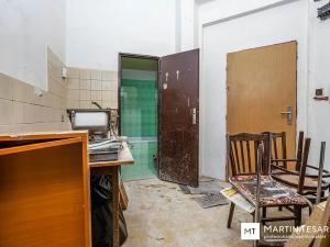 Prodej obchodního prostoru, Praha - Nusle, Ctiradova, 74 m2