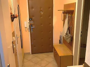 Prodej bytu 1+1, Brno, Ukrajinská, 47 m2
