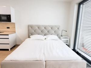 Pronájem bytu 1+kk, Praha - Holešovice, U průhonu, 51 m2