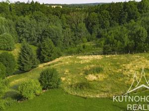 Prodej rodinného domu, Javornice, 244 m2