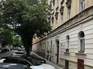 Dražba bytu 3+1, Praha - Vinohrady, Šumavská, 111 m2