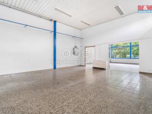 Prodej obchodního prostoru, Stráž pod Ralskem, Revoluční, 139 m2