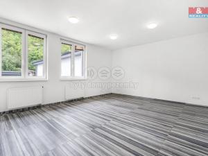 Pronájem výrobních prostor, Mladá Boleslav, U přejezdu, 497 m2