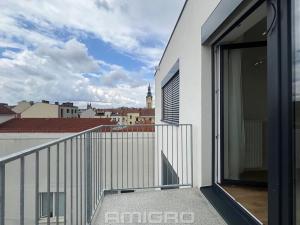 Pronájem bytu 1+kk, Brno, Křenová, 27 m2