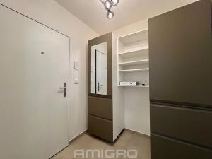 Pronájem bytu 1+kk, Brno, Křenová, 27 m2