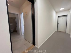 Pronájem bytu 1+kk, Brno, Křenová, 27 m2