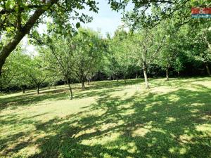 Prodej obchodního prostoru, Koryčany - Jestřabice, 330 m2