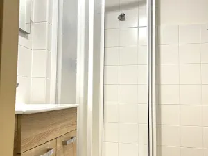 Pronájem bytu 1+1, Plzeň, Tělocvičná, 51 m2