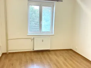 Pronájem bytu 1+1, Plzeň, Tělocvičná, 51 m2