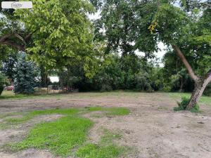 Prodej chaty, Dlouhopolsko, Poděbradská, 80 m2