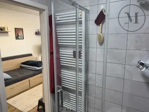 Pronájem bytu 1+kk, České Budějovice, Pekárenská, 22 m2