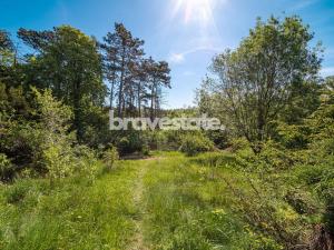Prodej pozemku, Praha - Lochkov, Za ovčínem, 1199 m2