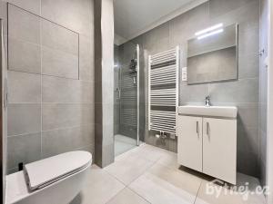 Pronájem bytu 1+kk, Brno - Staré Brno, Hybešova, 38 m2