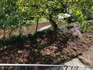 Pronájem bytu 1+kk, Tábor, Jordánská, 26 m2
