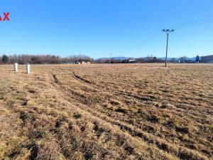 Prodej pozemku, Dolní Domaslavice, 8038 m2