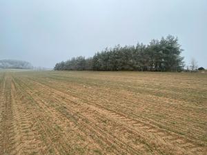Prodej pole, Slatina, 10514 m2