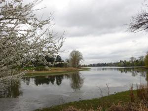 Prodej chaty, Budišov, 61 m2