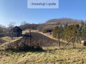 Prodej zahrady, Chožov - Třtěno, 2311 m2