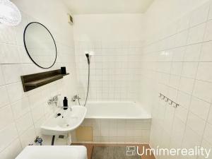 Pronájem bytu 1+1, Mladá Boleslav, Zalužanská, 45 m2