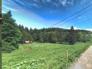 Prodej louky, Branná, 1325 m2