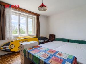 Prodej rodinného domu, Slavětice, 250 m2
