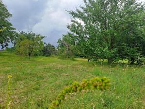Prodej pozemku, Češov, 2608 m2