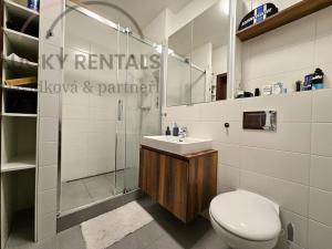 Pronájem bytu 2+kk, Praha - Hloubětín, Granitova, 53 m2