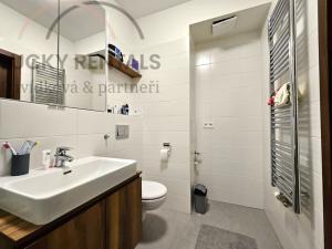 Pronájem bytu 2+kk, Praha - Hloubětín, Granitova, 53 m2