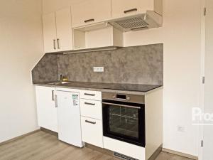Pronájem bytu 1+kk, Kladno, Štěpána Rautenstraucha, 33 m2