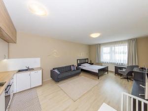 Pronájem bytu 1+kk, Olomouc, Wolkerova, 41 m2