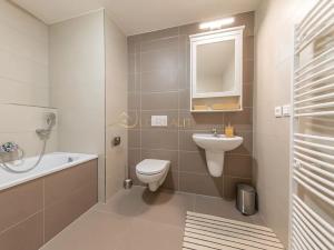 Pronájem bytu 1+kk, Olomouc, Wolkerova, 41 m2