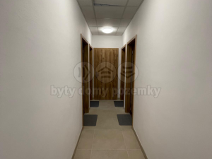 Pronájem bytu 1+kk, Ostrava - Vítkovice, Lidická, 30 m2