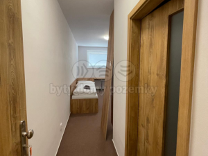 Pronájem bytu 1+kk, Ostrava - Vítkovice, Lidická, 30 m2