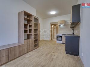 Prodej bytu 2+kk, Plzeň - Lobzy, Masarykova, 41 m2