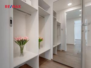 Pronájem bytu 2+kk, Praha - Žižkov, Olšanská, 71 m2